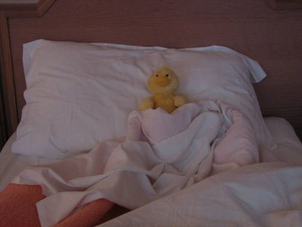 Quack resting