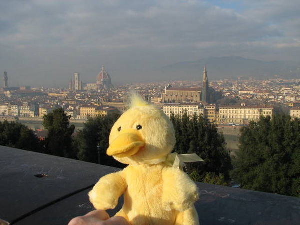 Quack's view of Florence