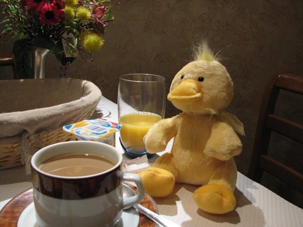 Quack having a French breakfast