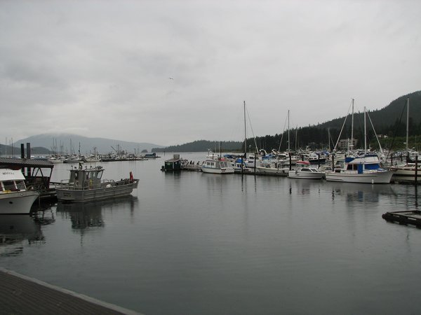 Juneau bay harbor