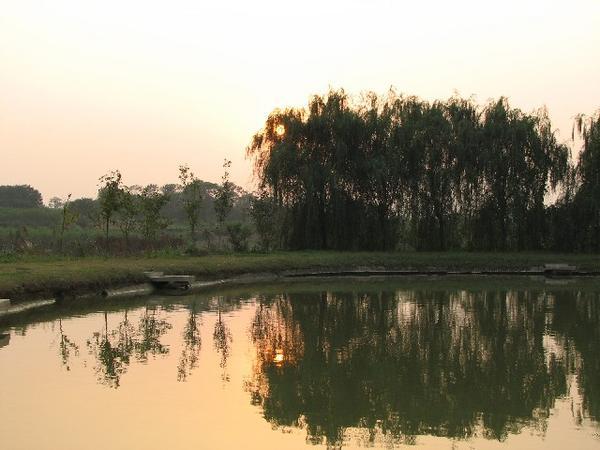 sunset on the pond