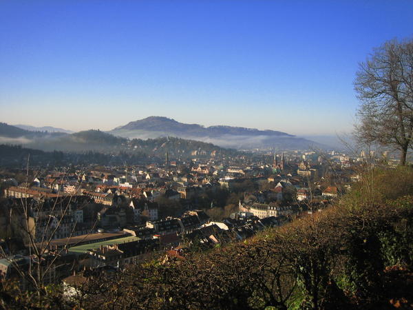 Freiburg from above