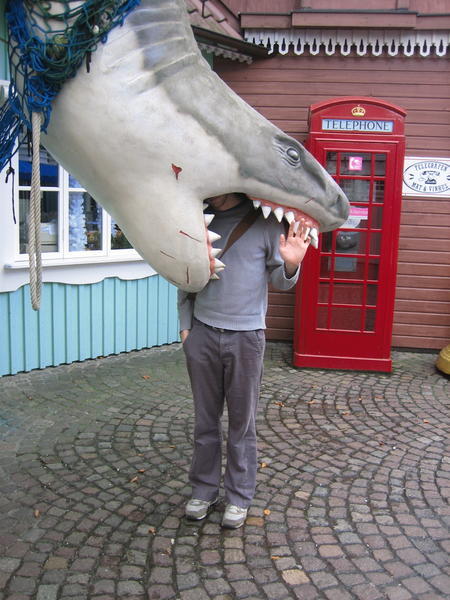 Shark Eats Tommy