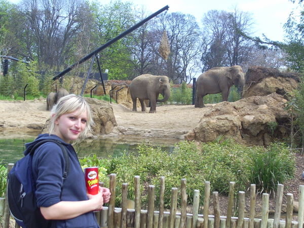 viktorija with elephants