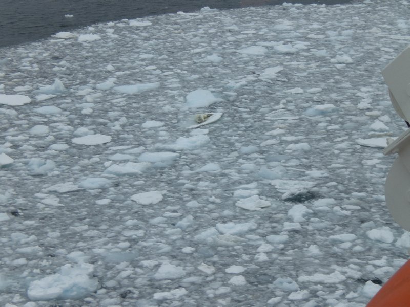 30 Antarctic Circle ice