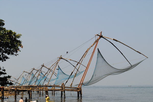 More Chinese Nets