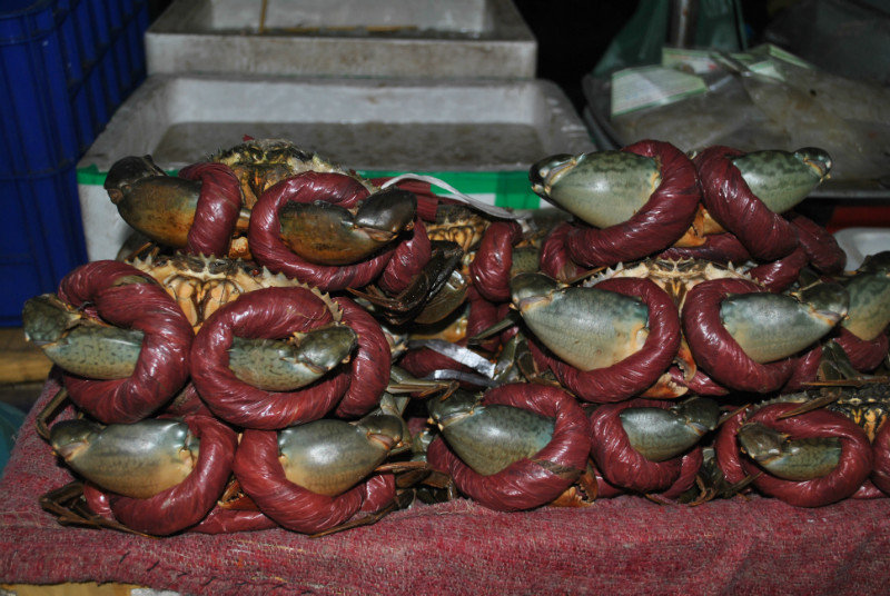 Bound Crabs Hanoi