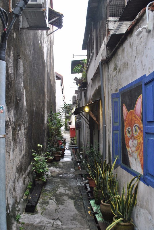 Cat in an alley Penang