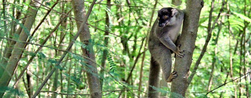 Islands of Nosy-Be - People, sea, culture and beaches