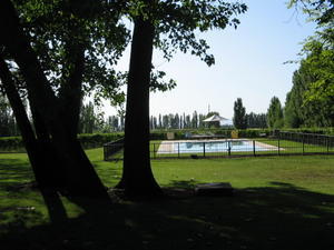 Swimming in the pool while admiring the wineyards was a true pleasure...