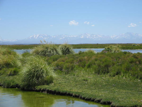 Laguna de Malargue