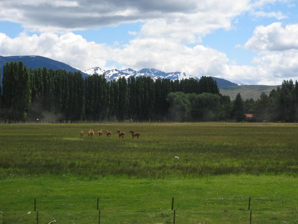 Landscape from the Old Patagonian Express