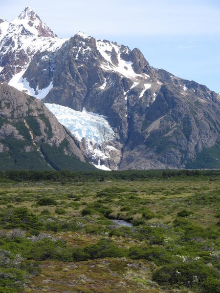 One of the numerous glaciers...