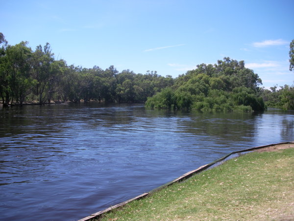 Murray River (1)