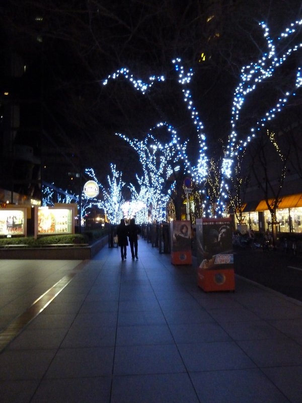 Osaka Christmas Light Show (2)