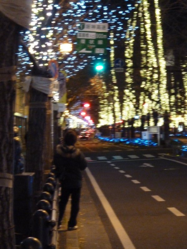 Midousuji Avenue (6)