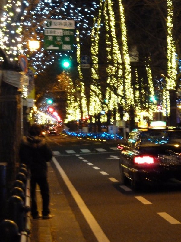 Midousuji Avenue (7)