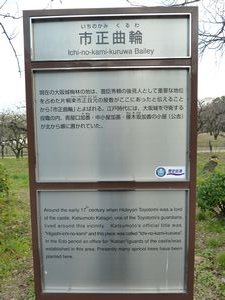 Osaka Castle plum grove (1)