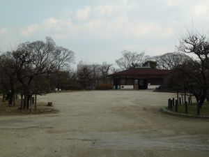 Osaka Castle plum grove (3)