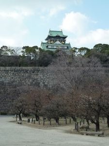 Osaka Castle plum grove (7)