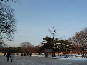 Changgyeonggung Palace (2)