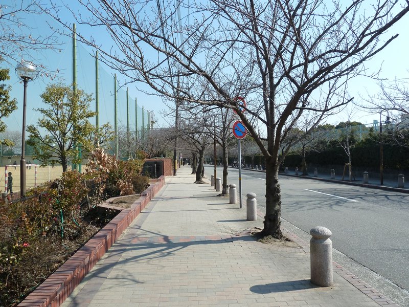 Road to Campus (1)