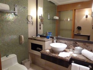 Park Plaza Hotel Bathroom (2)