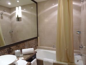 Park Plaza Hotel Bathroom (3)