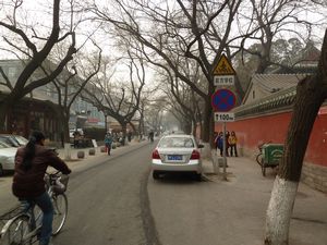 Yonghegong Street (7)