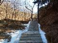 Trail to Mutianyu Great Wall (22)