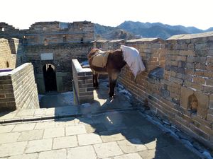 Mutianyu Great Wall (17)