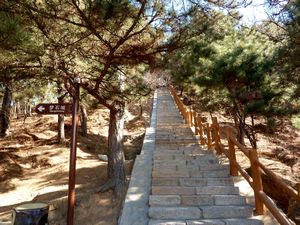 Trail to Mutianyu Great Wall (6)
