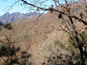 Trail to Mutianyu Great Wall (16)