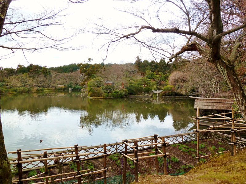 Kyoyochi Pond (1)