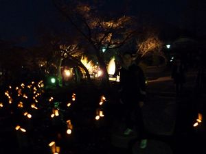 Maruyama Park Hanatoro Festival (8)