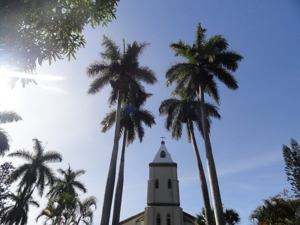 Different view of church steeple looking up at it and palm trees