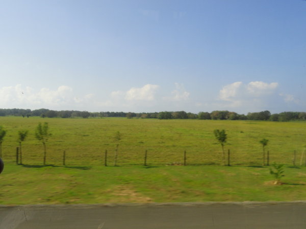 More Countryside