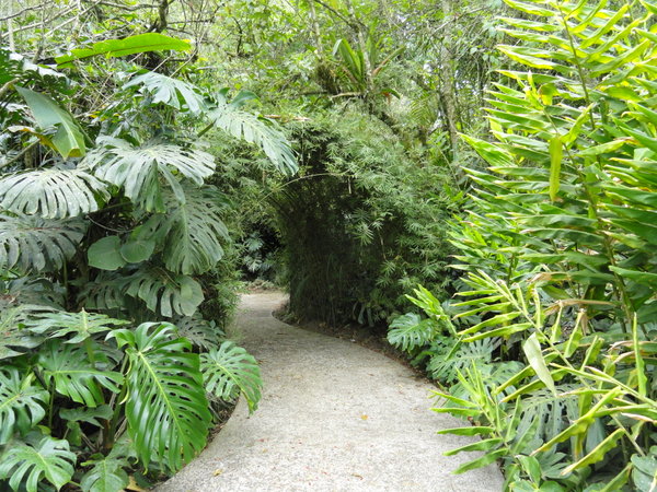 Path through Botanical Gardens