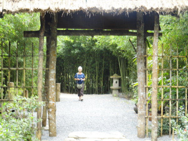 Japanese Gardens at Lankester 