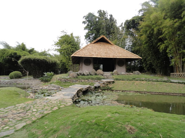Japanese Gardens at Lankester