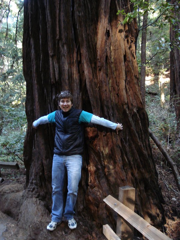 Brett and a big Redwood!