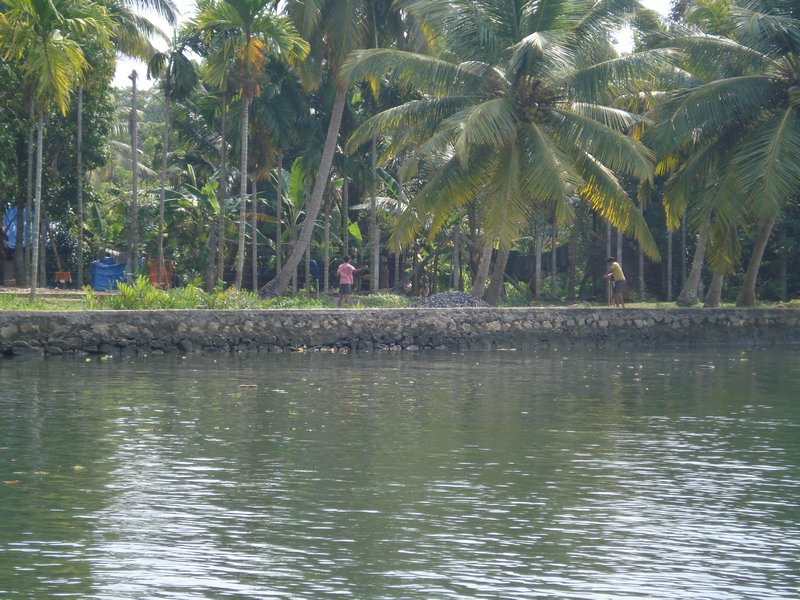 Island in the backwaters