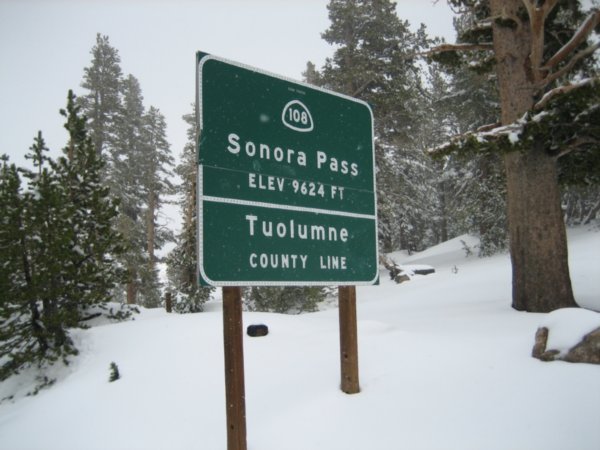 Summit of Sonora pass