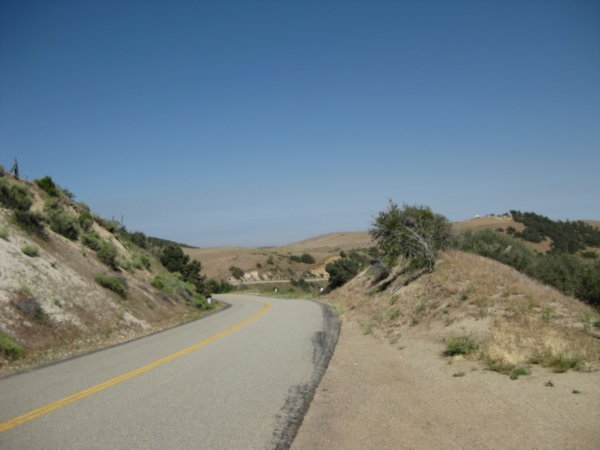 Los Padres national forest