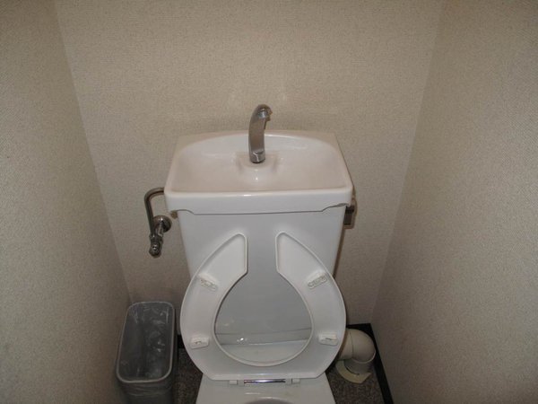 Japanese toilet