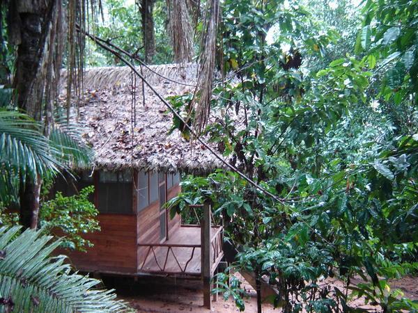 Our huts in the jungle