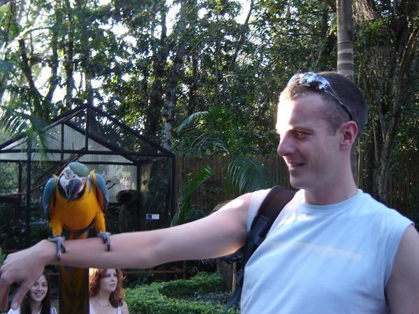 Tom and a Parrot