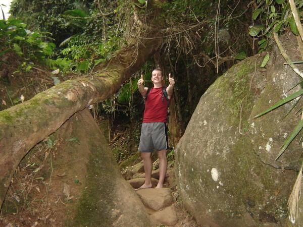 Tom in the rain forest