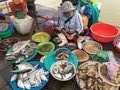 ...one of the fish stalls..