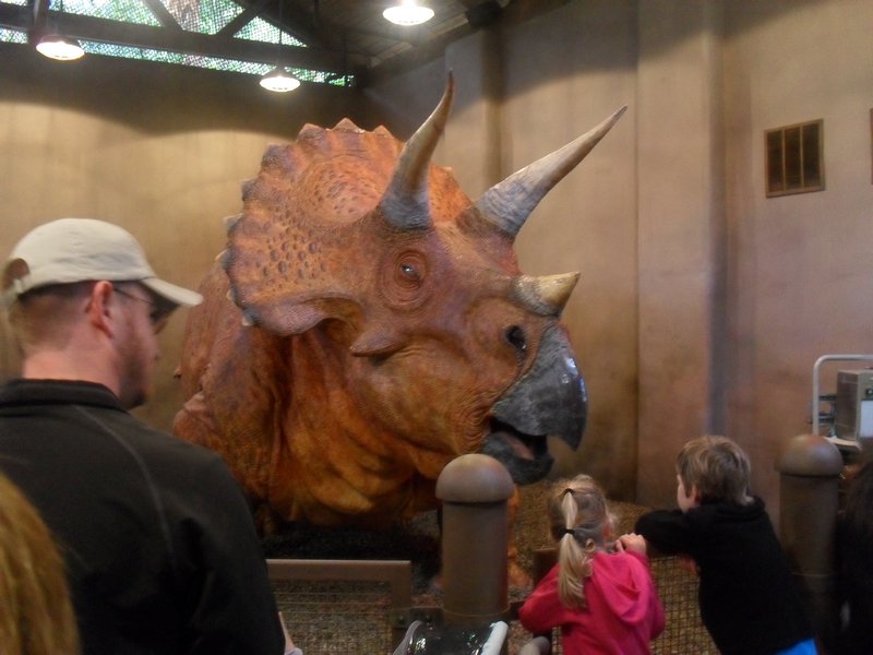 Meeting with a 'tame' Triceratops..